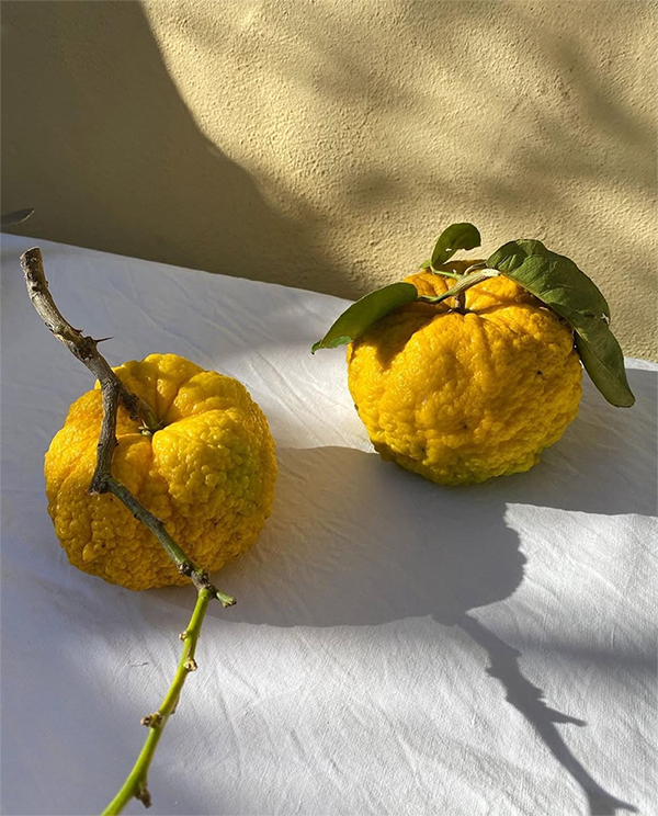 Fonte: Instagram @letitia_ann_clark